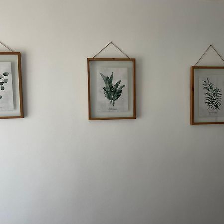 Appartement Carmen12 à Xàtiva Extérieur photo